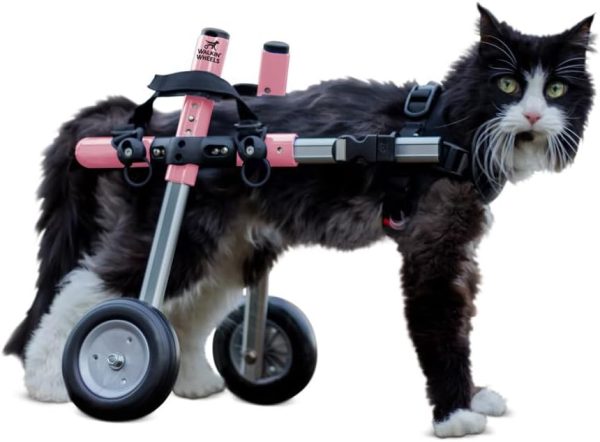 Walkin' Wheels Lightweight Cat Wheelchair for Small Cats (2-20 lbs), Back Legs, 11-20 lbs, 7-8" Leg Height, Pink