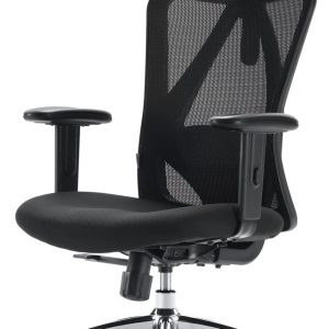 SIHOO M18 Ergonomic Office Chair for Big & Tall with Adjustable Headrest, 2D Armrests, Lumbar Support, PU Wheels, Swivel & Tilt, Black