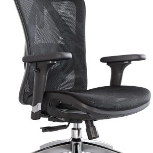 SIHOO M57 Ergonomic Office Chair with Adjustable Armrests, Lumbar Support, Headrest, and Tilt (Black)