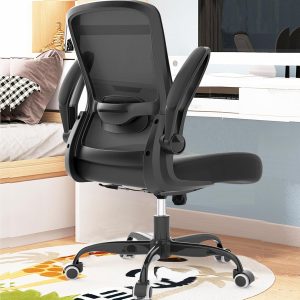 Ergonomic Office Chair with Adjustable Lumbar Support and Flip-up Armrests