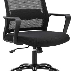 Ergonomic Home Office Swivel Chair with Lumbar Support (Black)