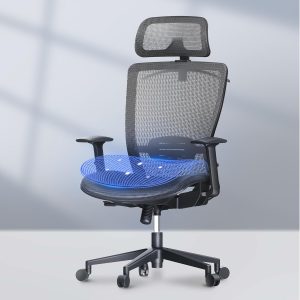 FLEXISPOT Ergonomic Mesh Office Chair with Lumbar Support, Tilt, 3D Headrest, 2D Armrest, Gray